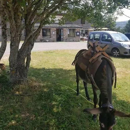 Chalet Du Mont Lozere *